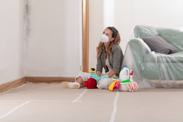 Reliable Mold Remediation contractor in Dickerson, MD by WQB Mold Removal